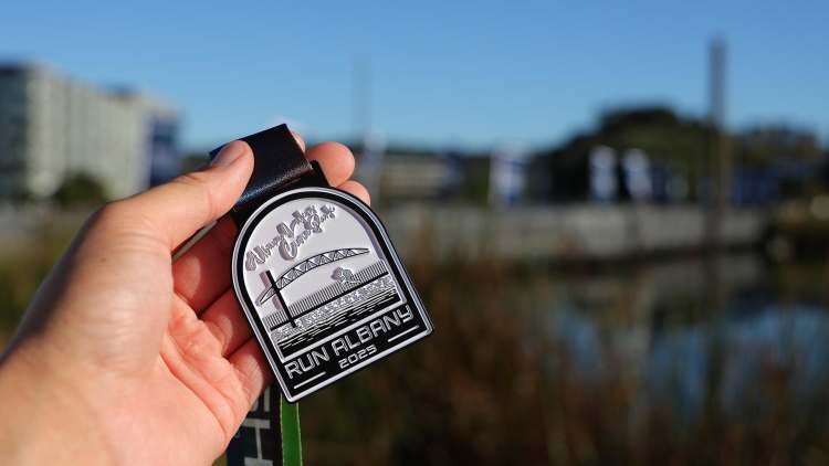 nsrs Medals - Click to View Full Size